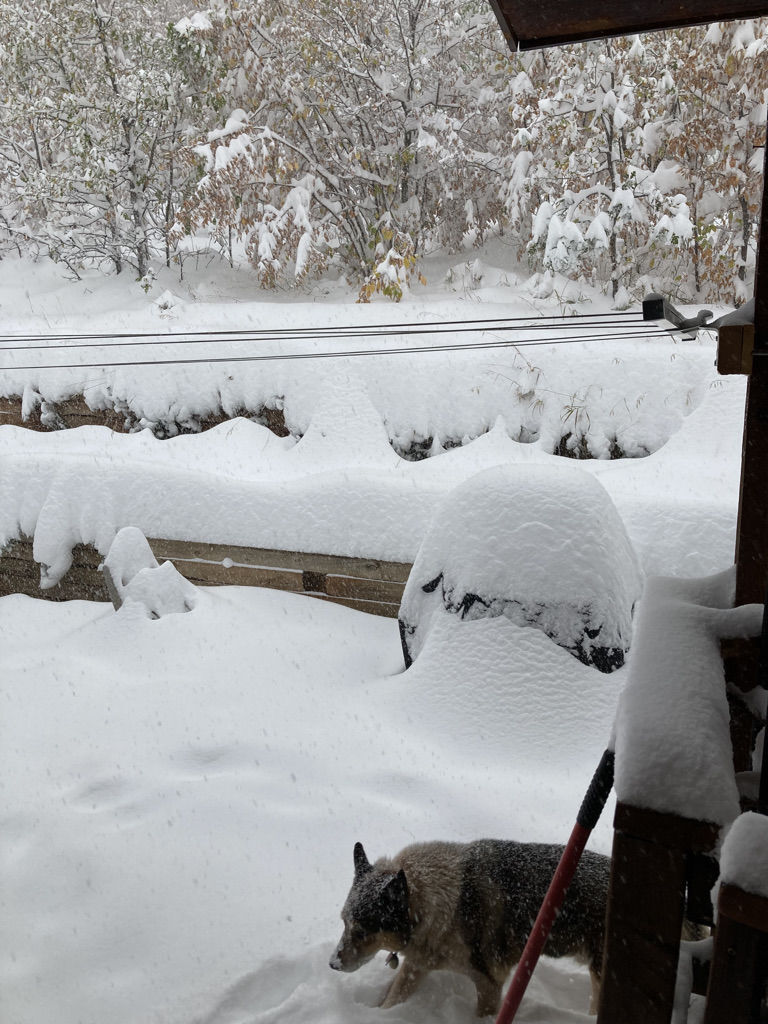 Spearfish snow